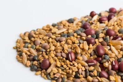 Ancient Eastern Blend Contains Fenugreek, Lentils, Kamut, & Adzuki beans.