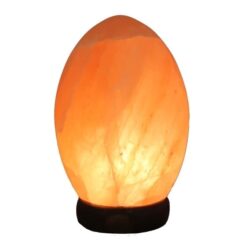 Shaped Himalayan Salt Lamp - Egg